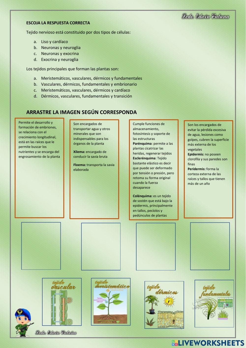 Ciencias Naturales