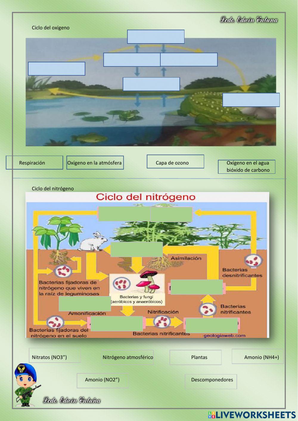 Ciencias Naturales