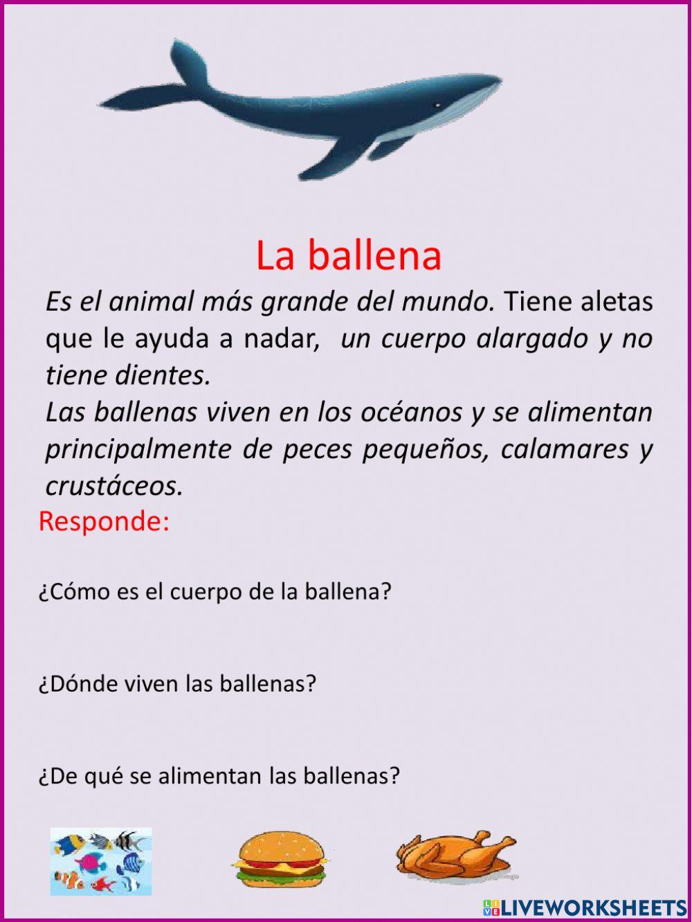 Comprensión lectora