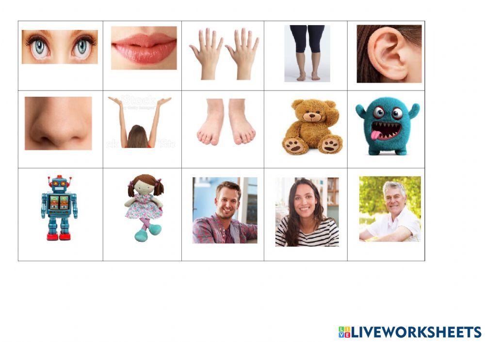 SPELLING BEE - PICTIONARY 1ST grade