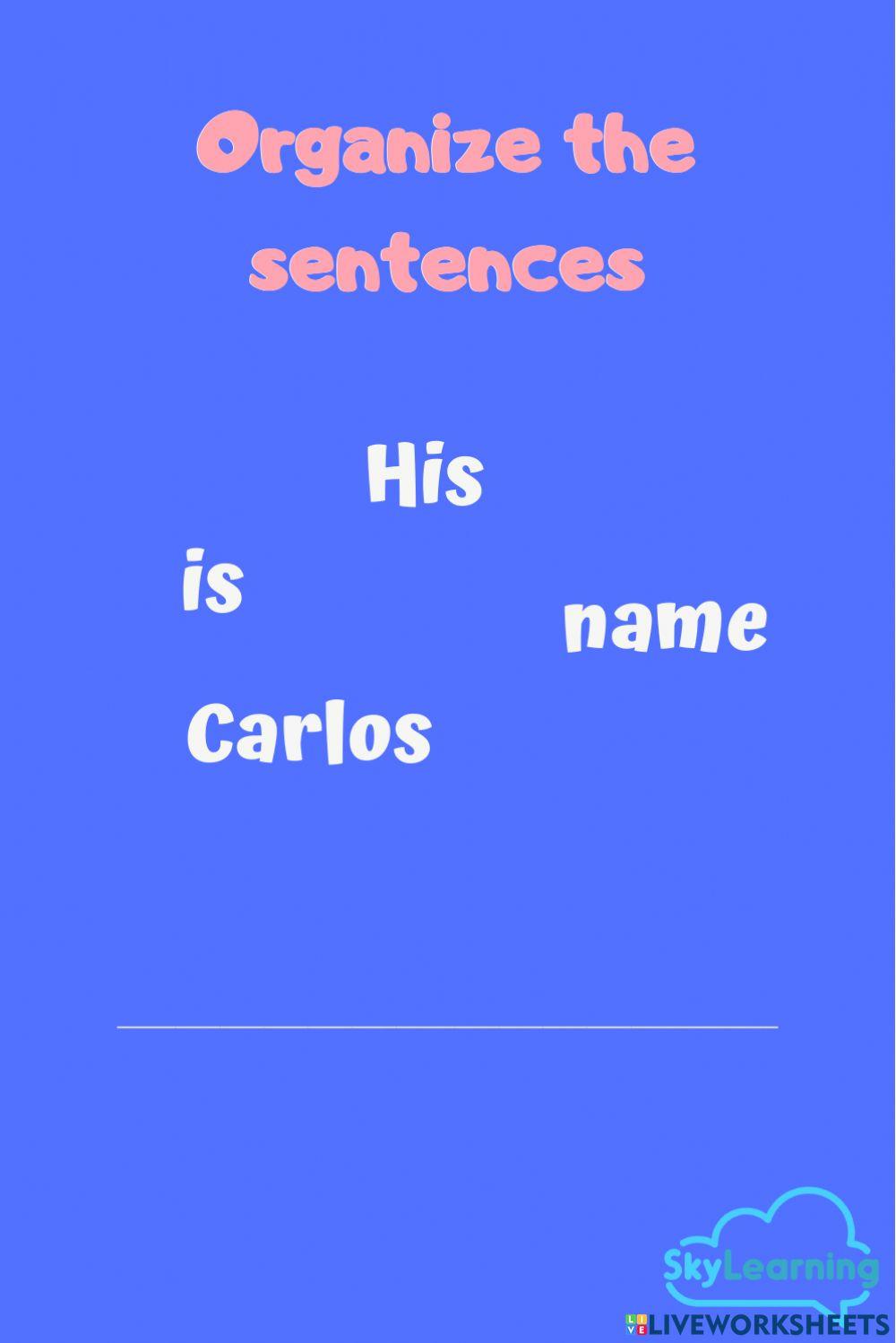 Organize the Sentences