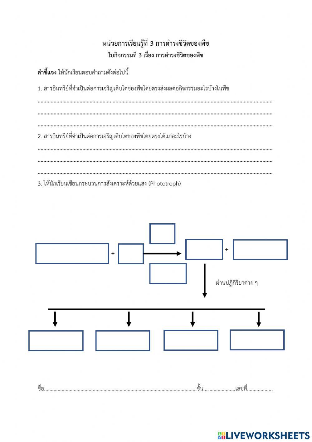 การดำรงชีวิตของพืช