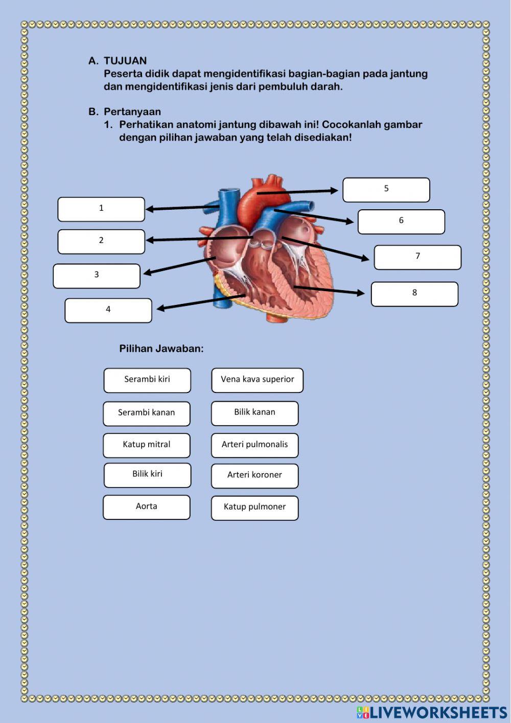 Lkpd jantung dan pembuluh darah