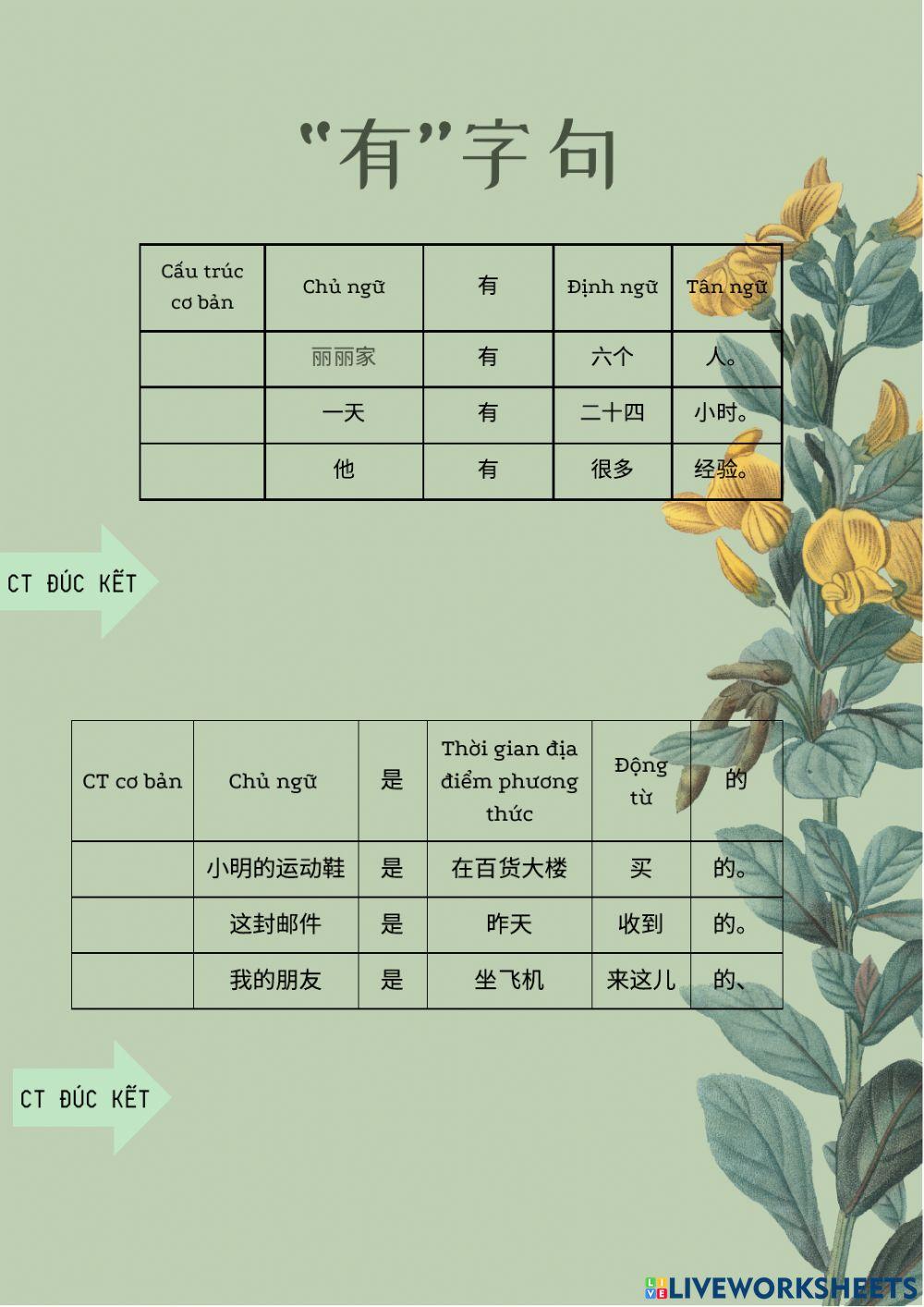 “是”字句 đúc kết ct