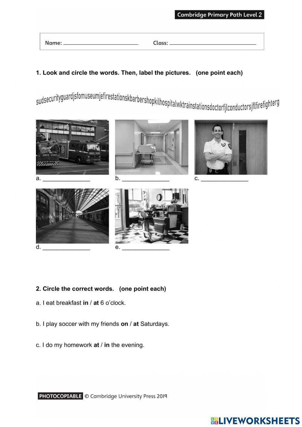 Cambridge Primary Path 2 Pdf