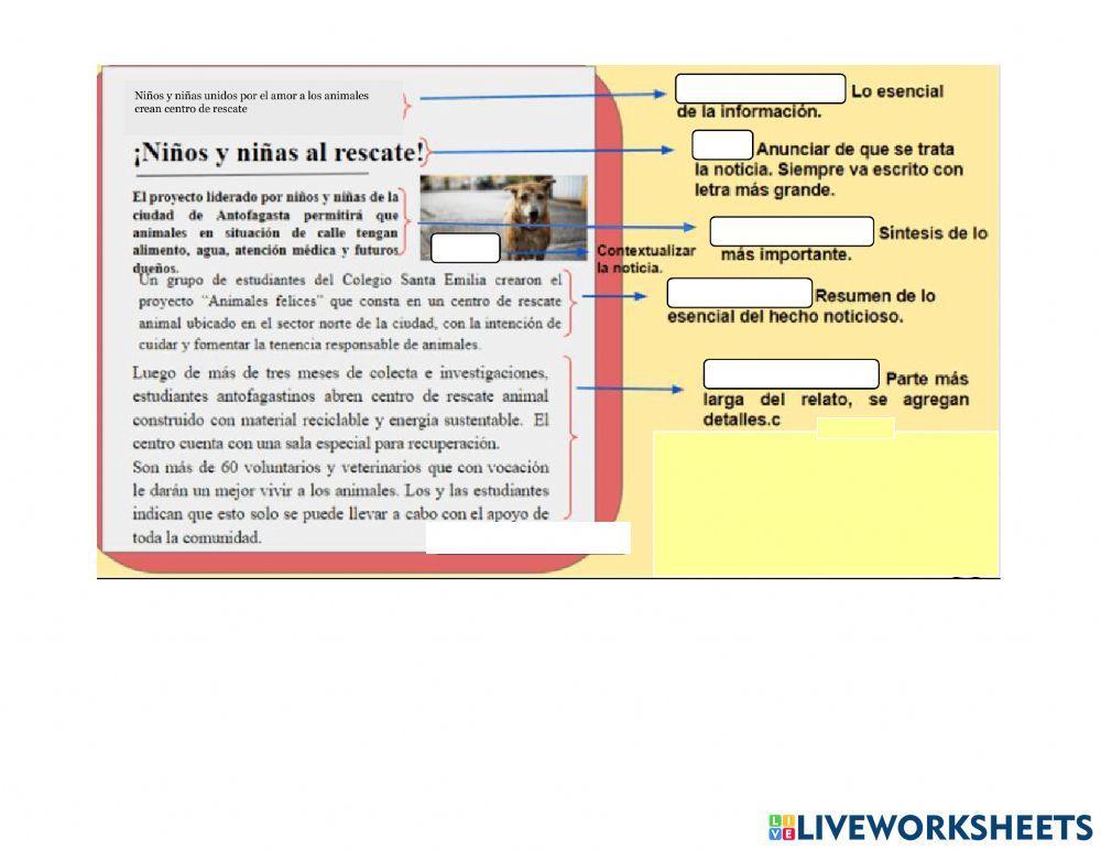 Partes de la noticia