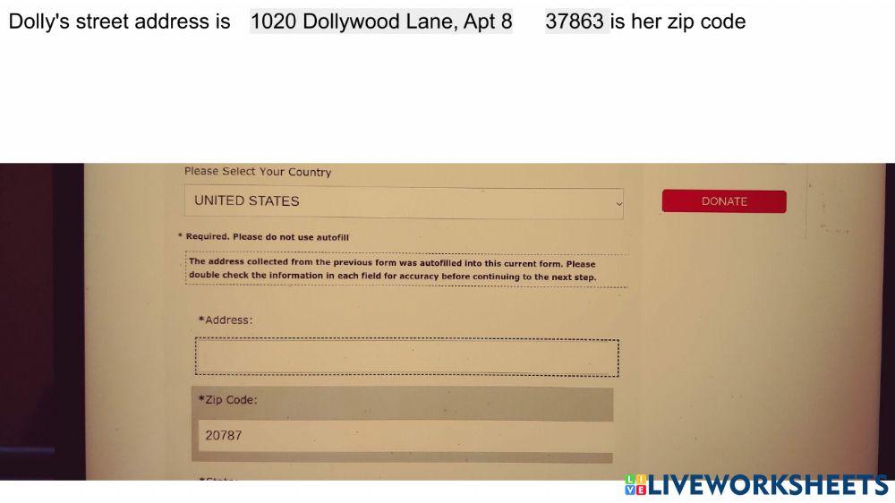 Application Practice - Dolly 3