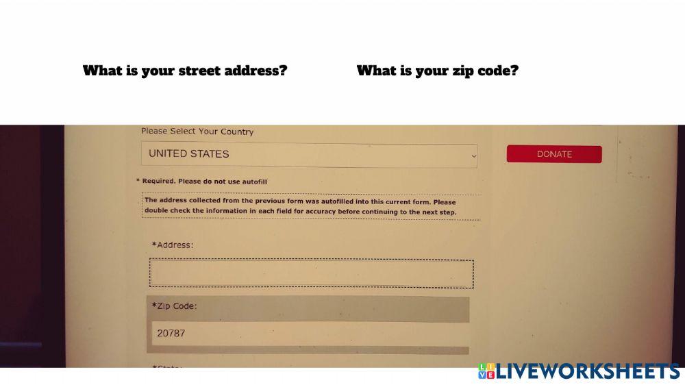 Application Practice - Dolly 3