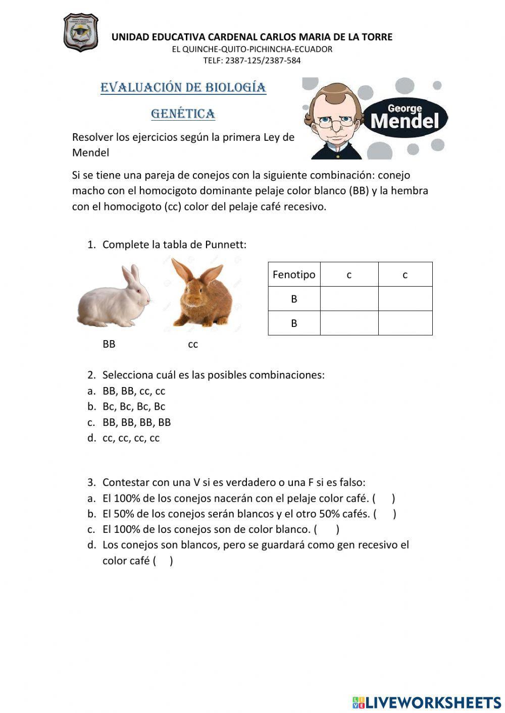 Primera ley de mendel