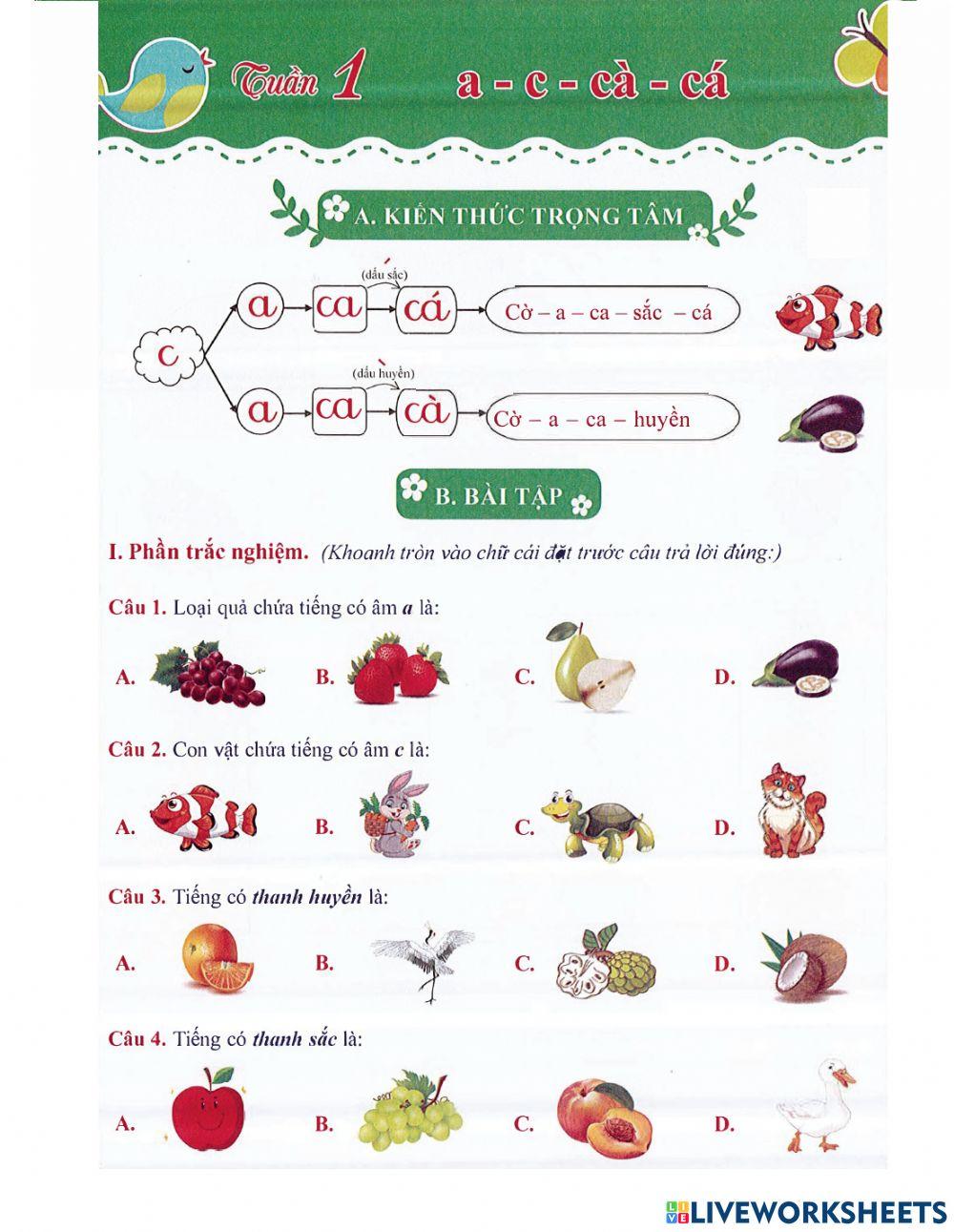 Tiếng Việt 1 - Tuần 1