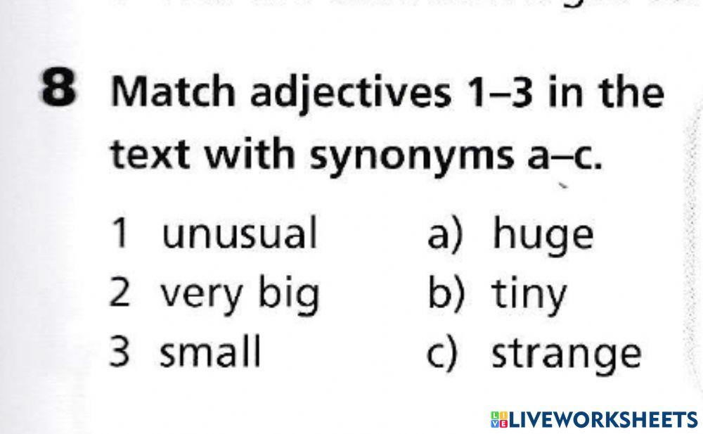Vocabulary: Adjectives