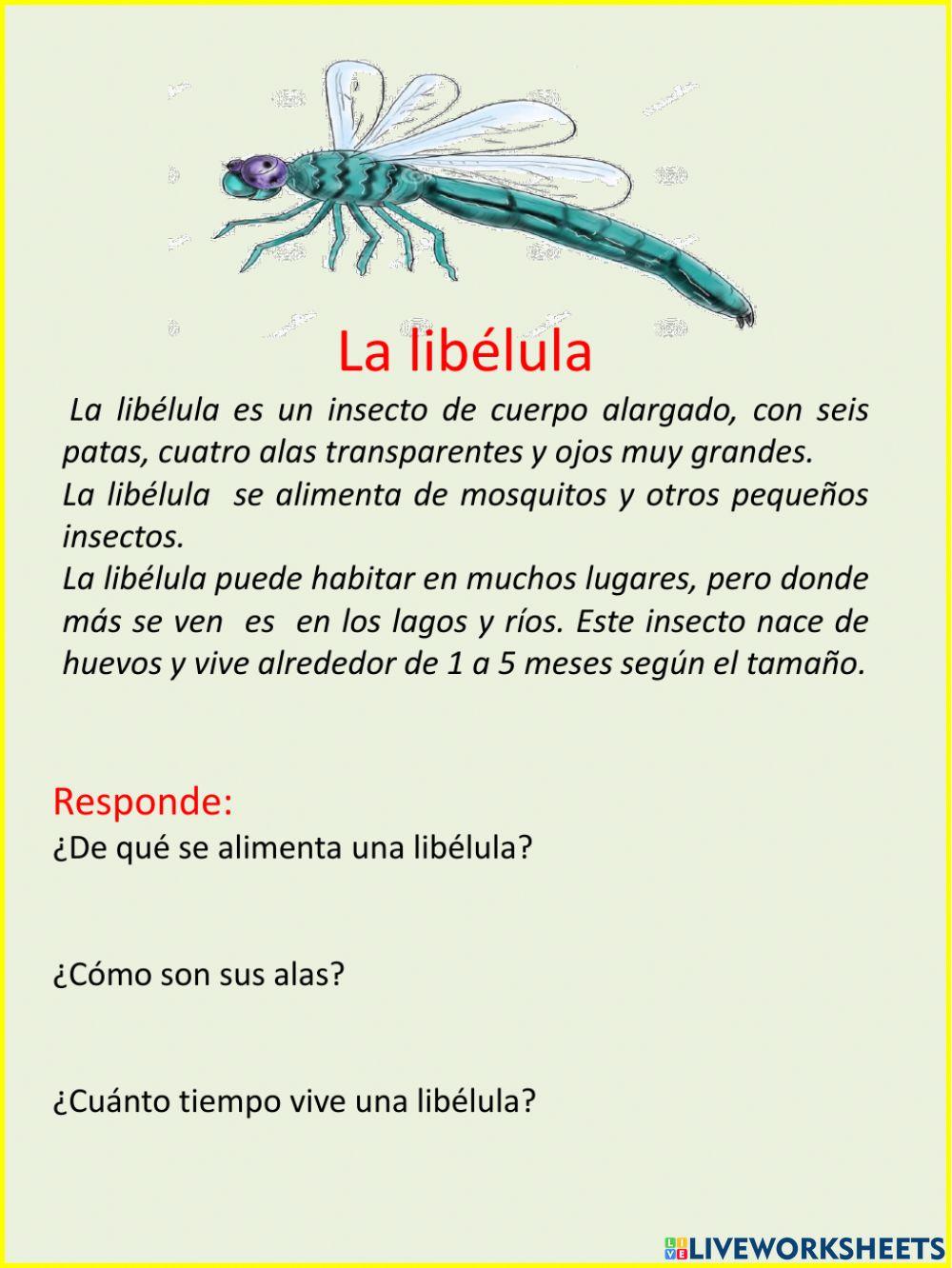 Comprensión lectora