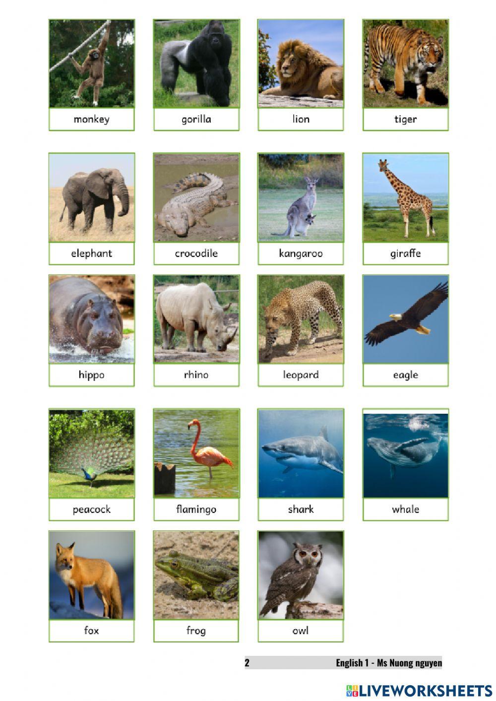 E1U13 The cat is cute -nuongnguyen