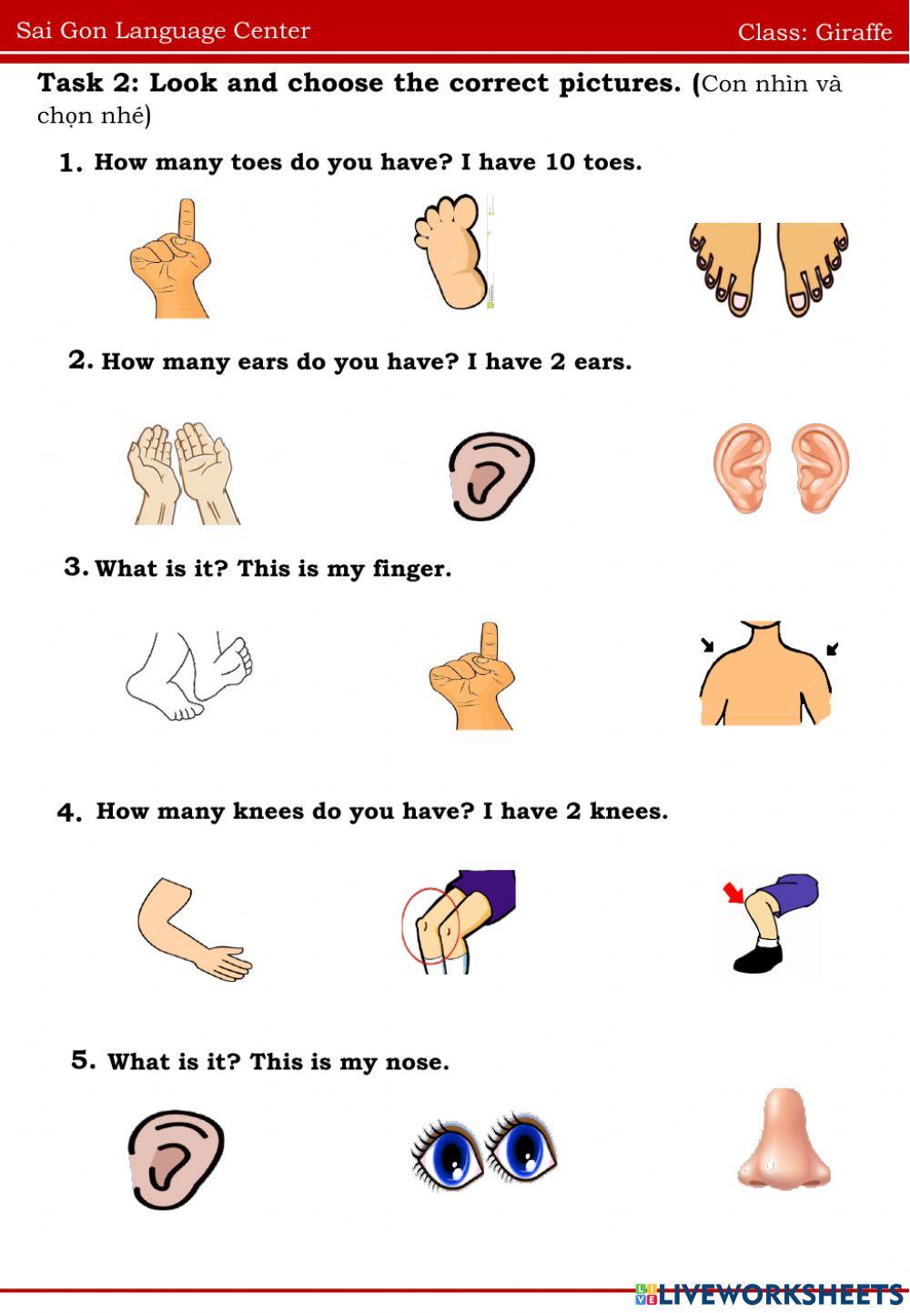 Ppd.a3 review (30.07.2022)