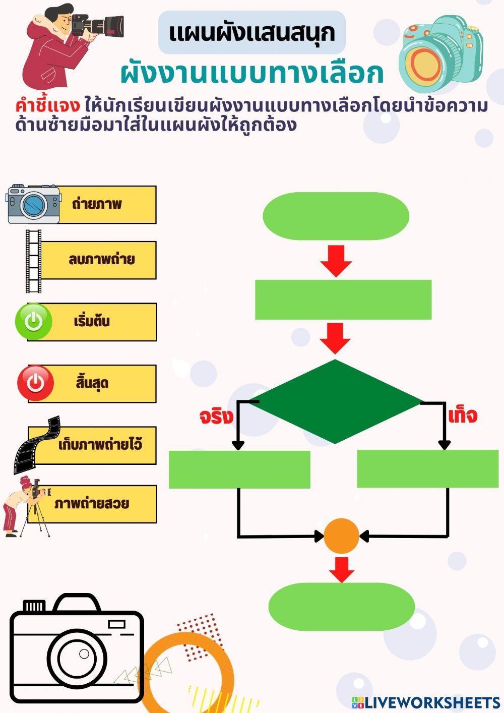 ผังงานแบบทางเลือก
