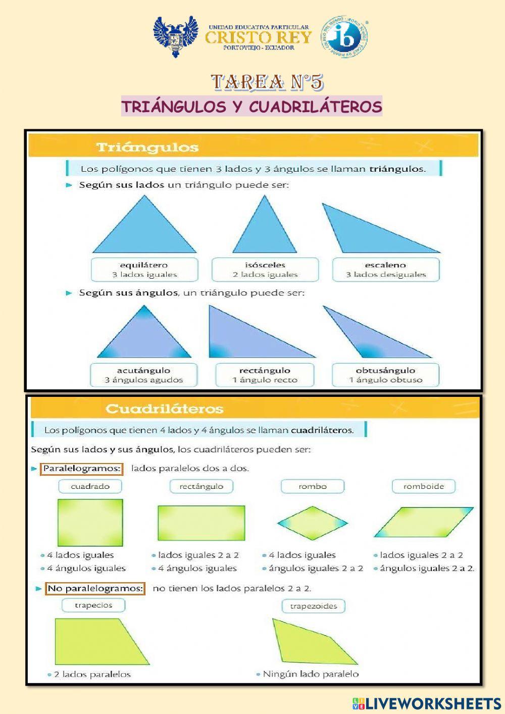 Triángulos y cuadriláteros