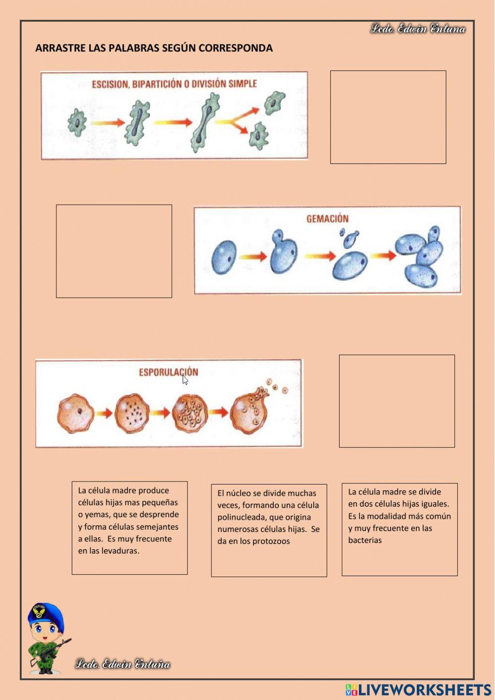 Ciencias Naturales