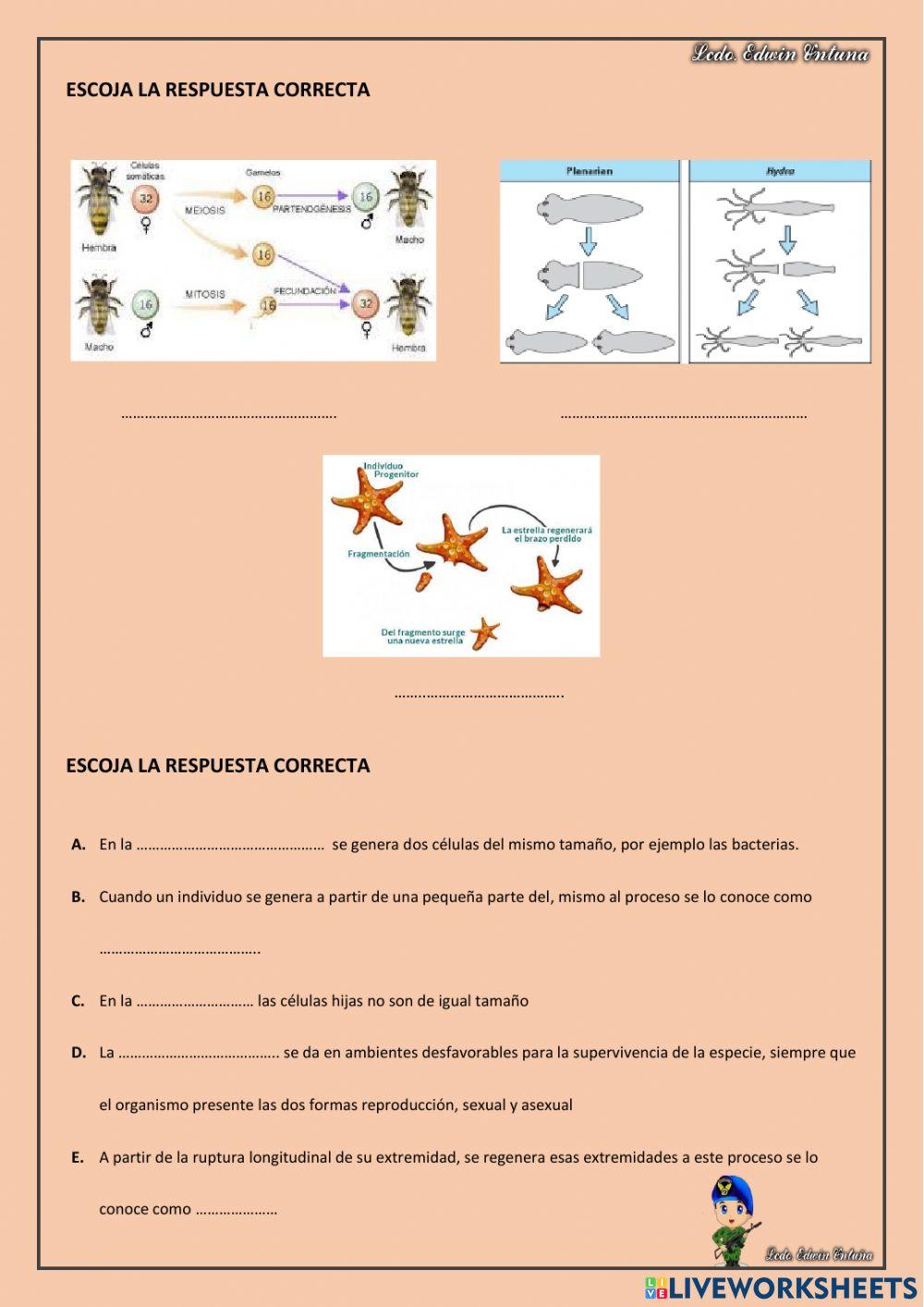 Ciencias Naturales