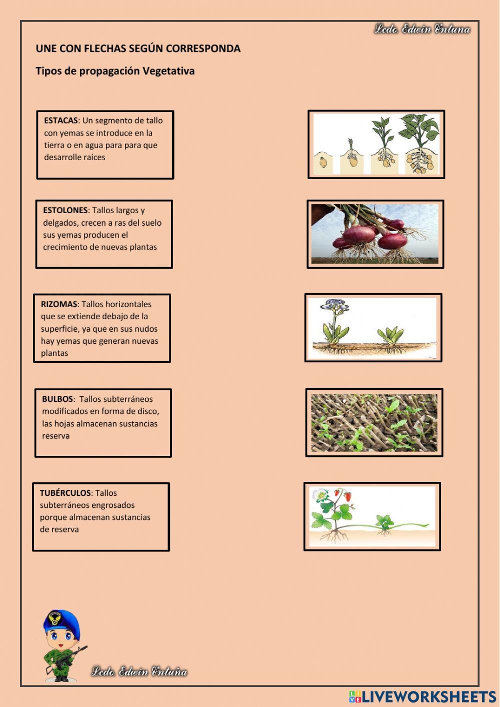 Ciencias Naturales