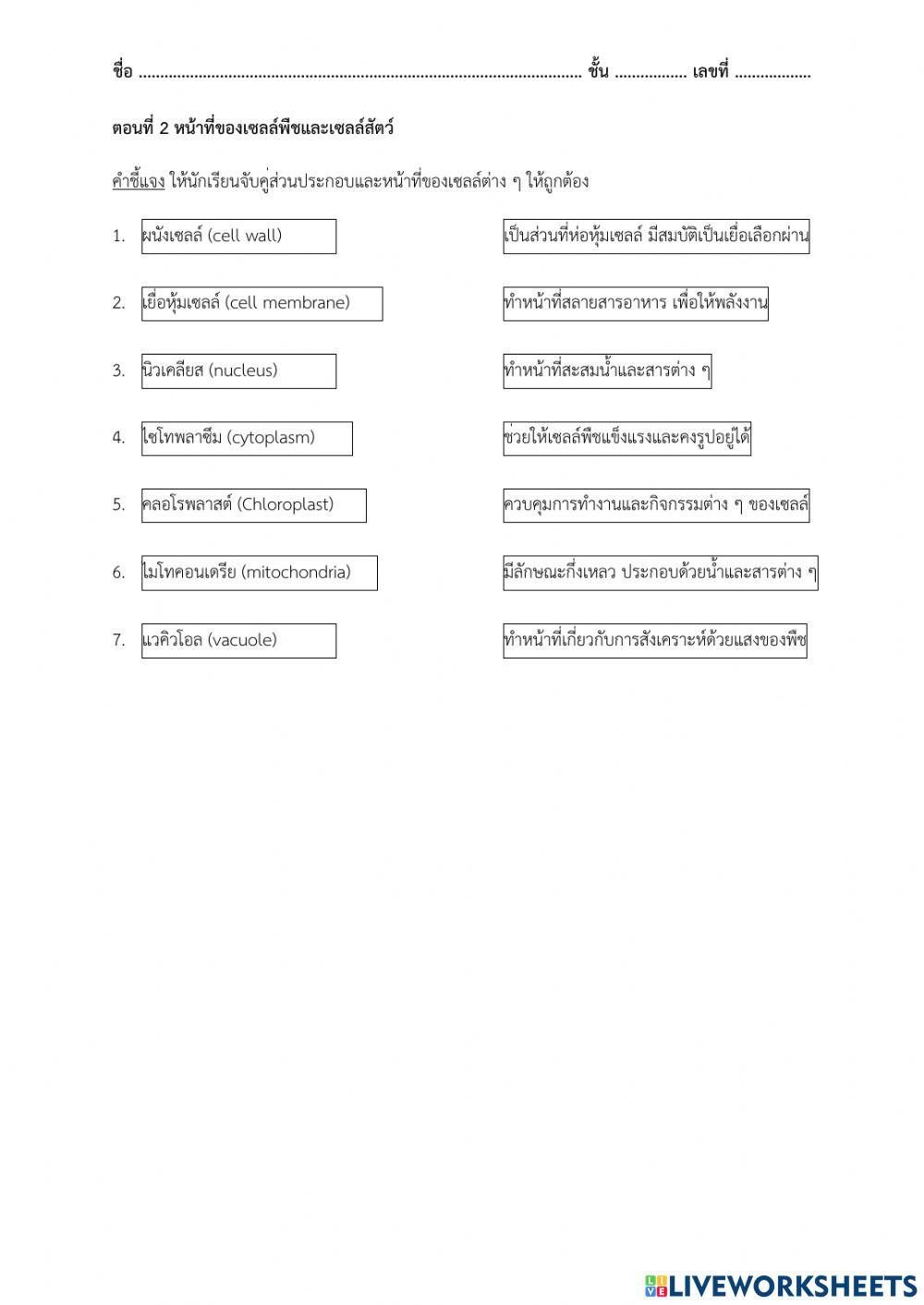 เซลล์พืชและเซลล์สัตว์