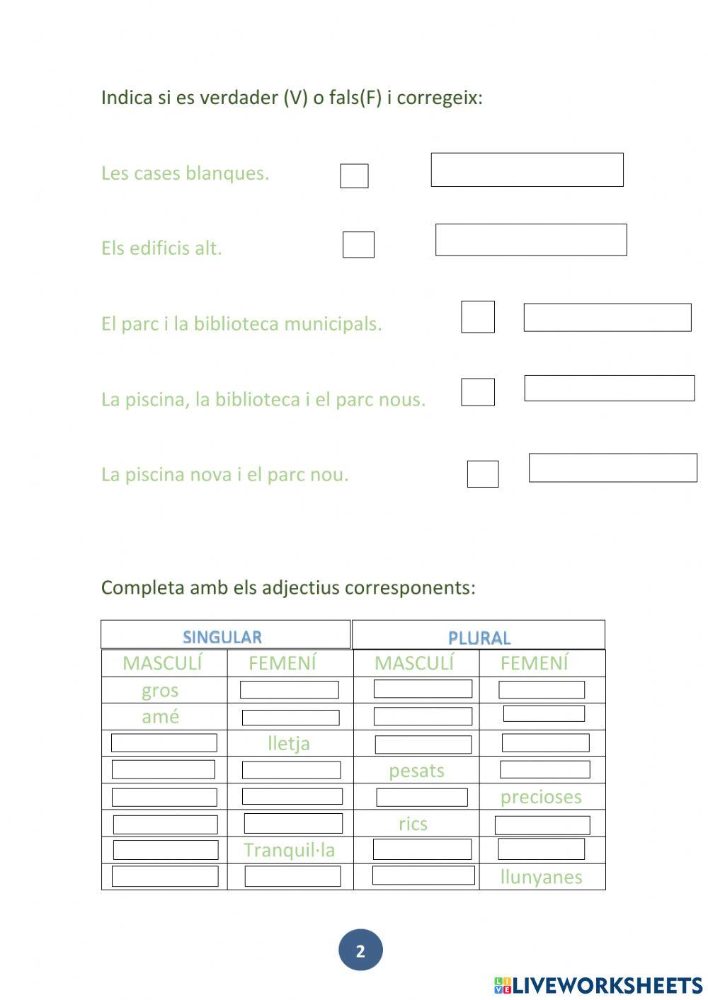 Concordança nom i adjectiu