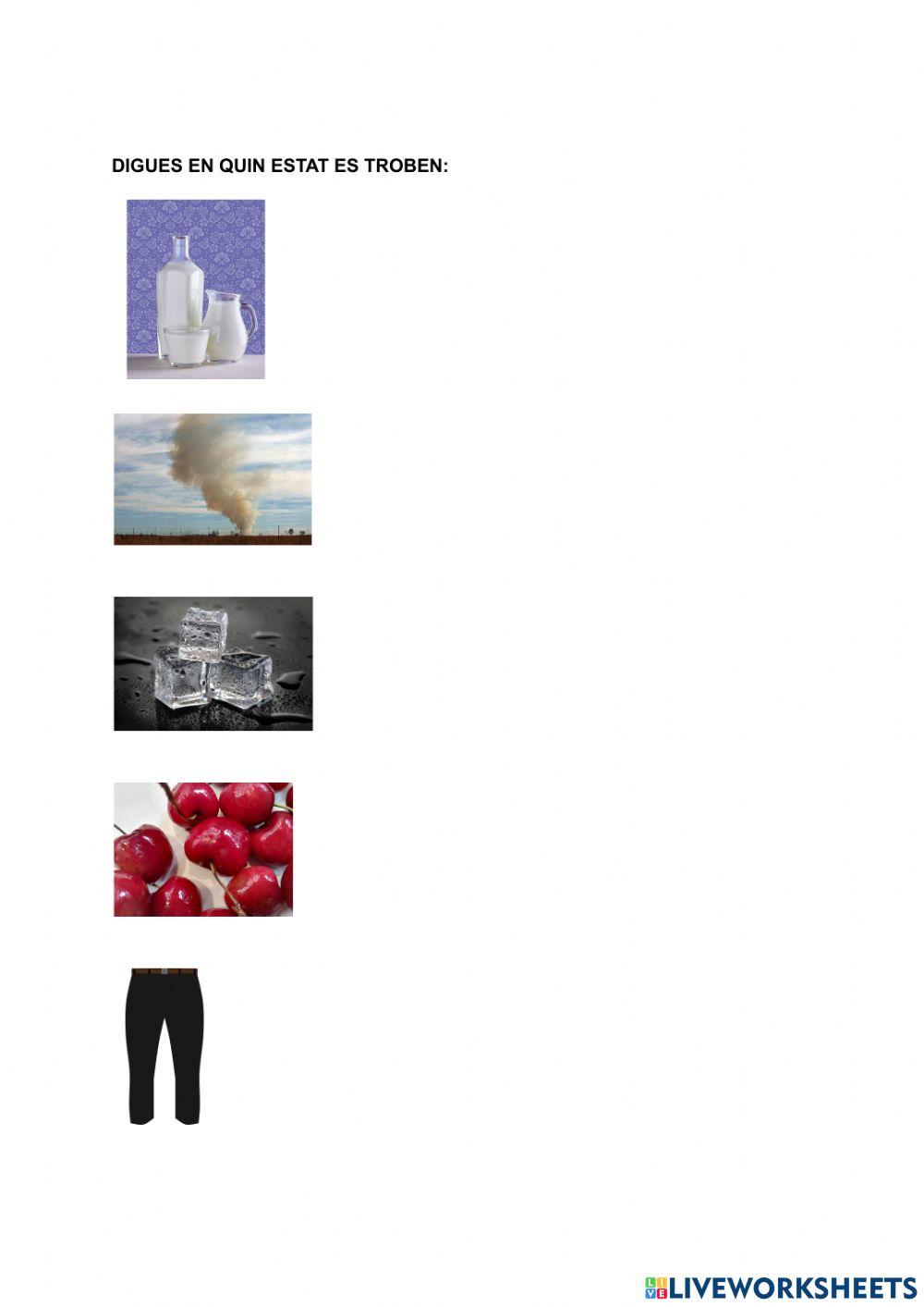 Prova de la matèria