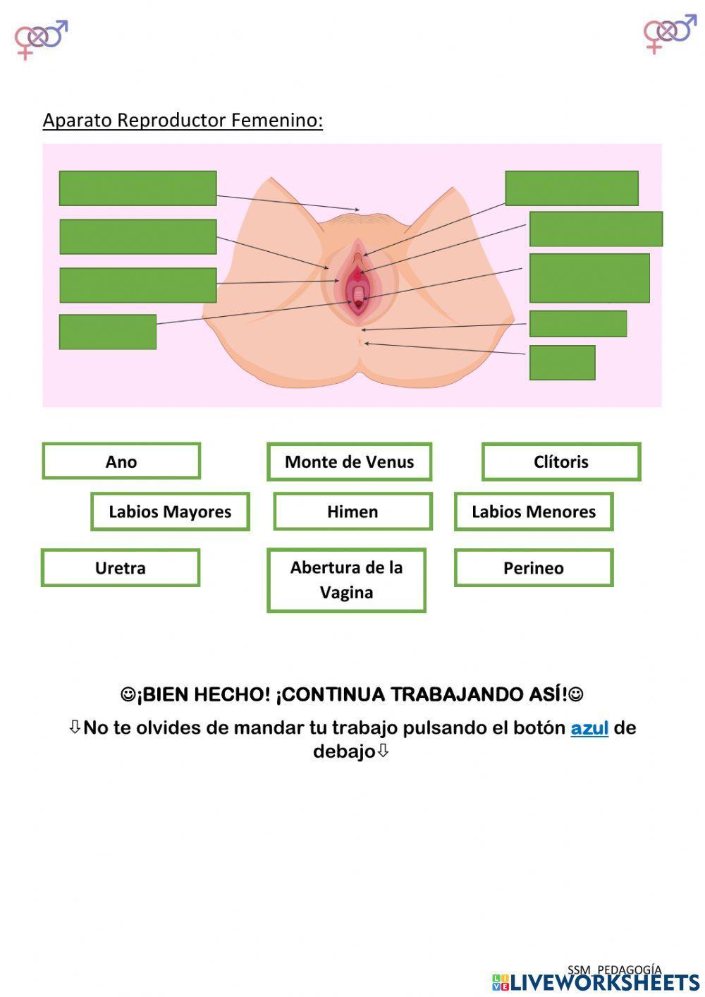 Educación Sexual - Tarea 1