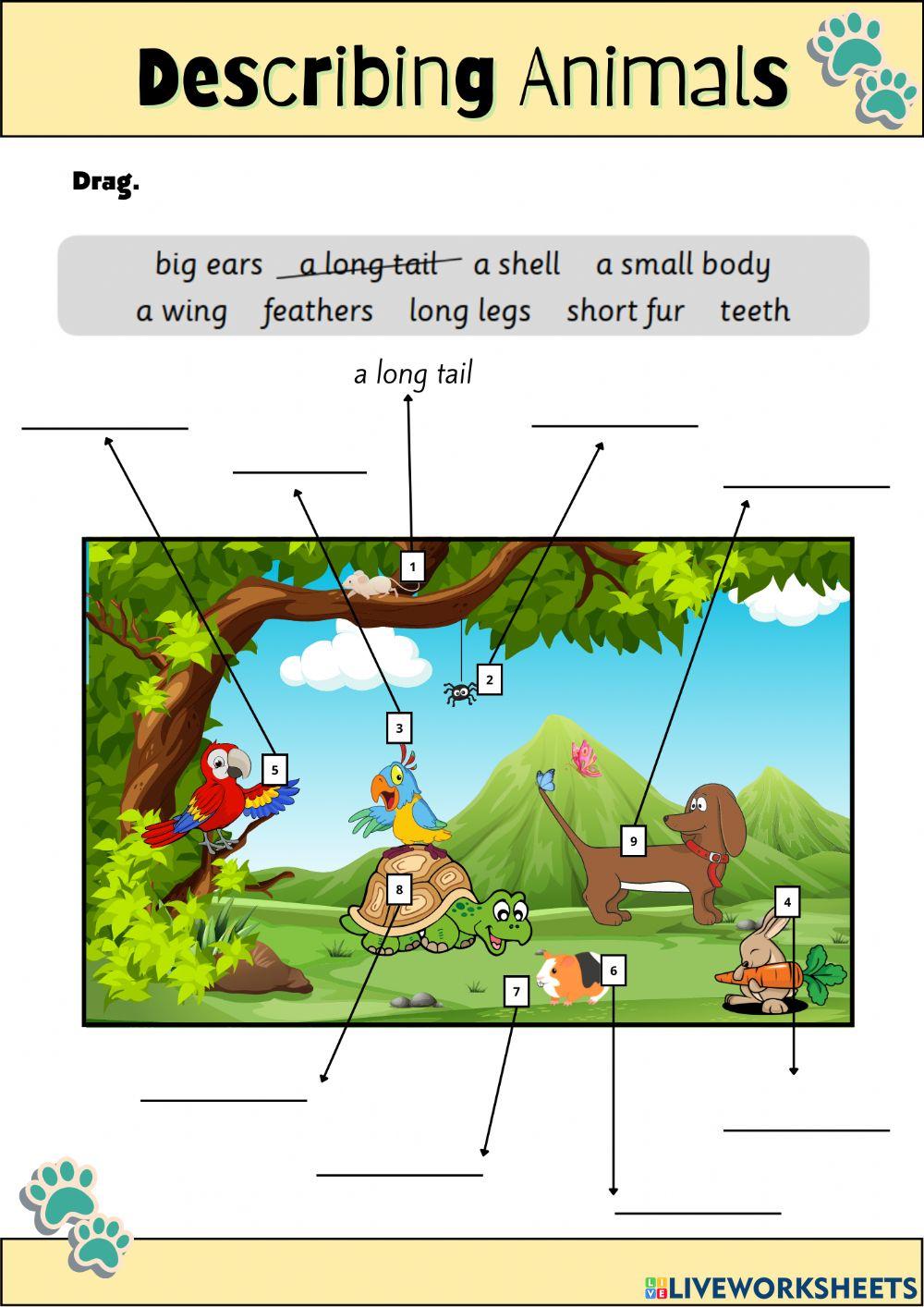 Animlas Descriptions