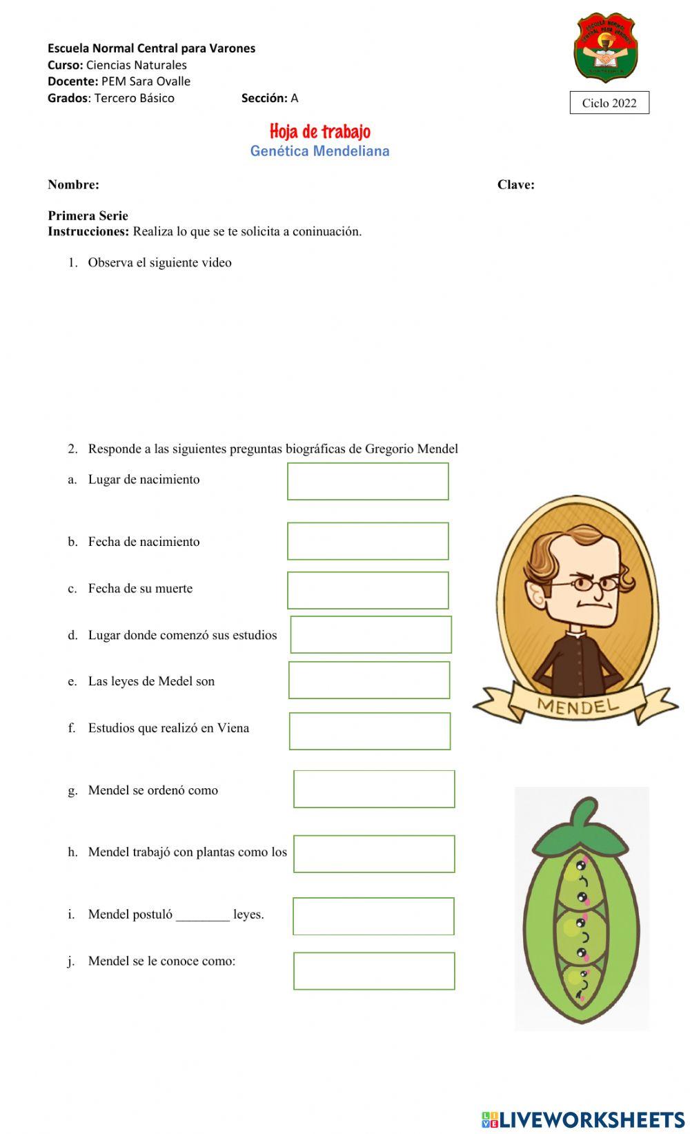 Hoja de Trabajo… | Free Interactive Worksheets | 3611197, image size:1000x1643