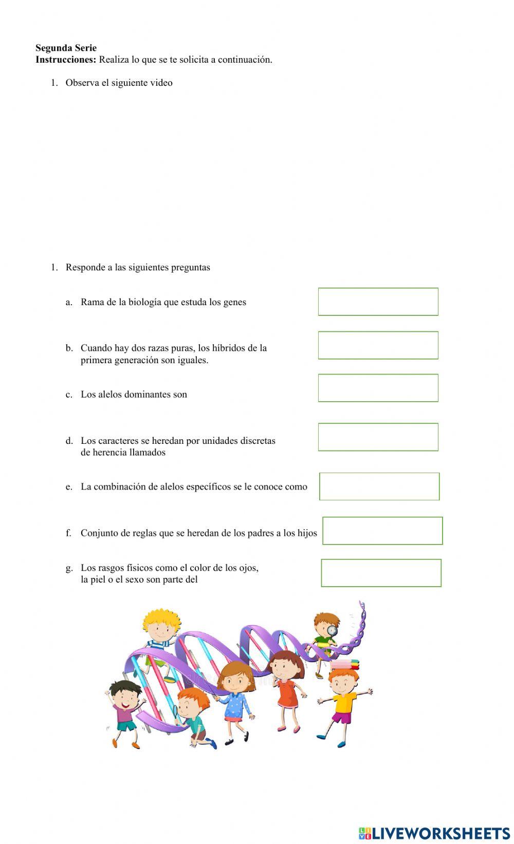 Hoja de Trabajo… | Free Interactive Worksheets | 3611197, image size:1000x1643