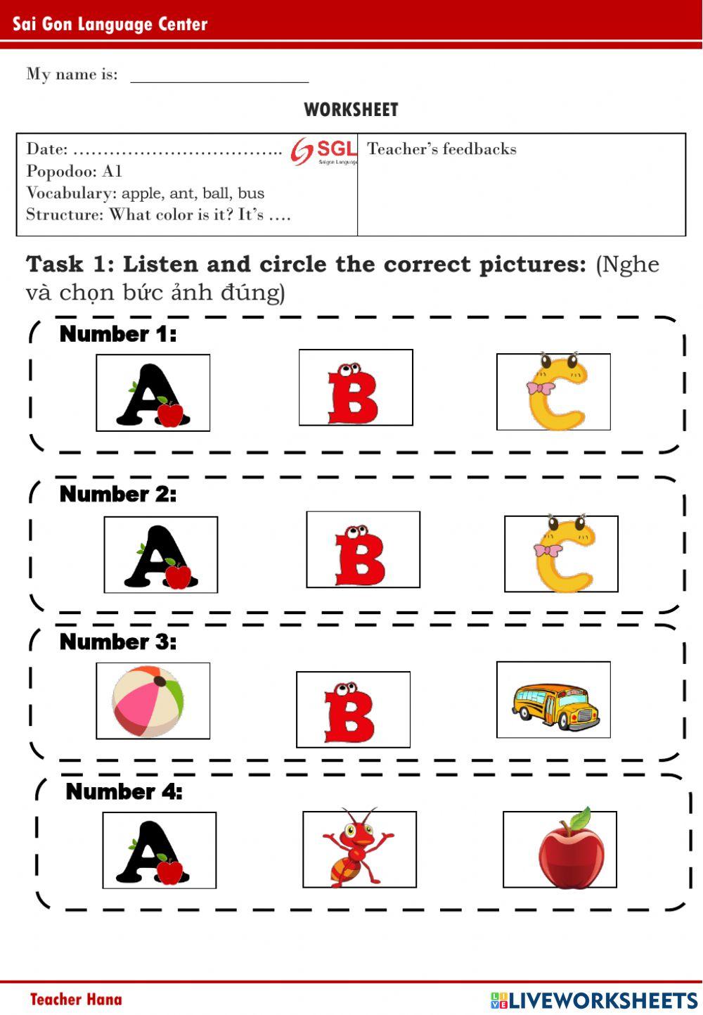 PPD A1 - Star (4-7-2022)