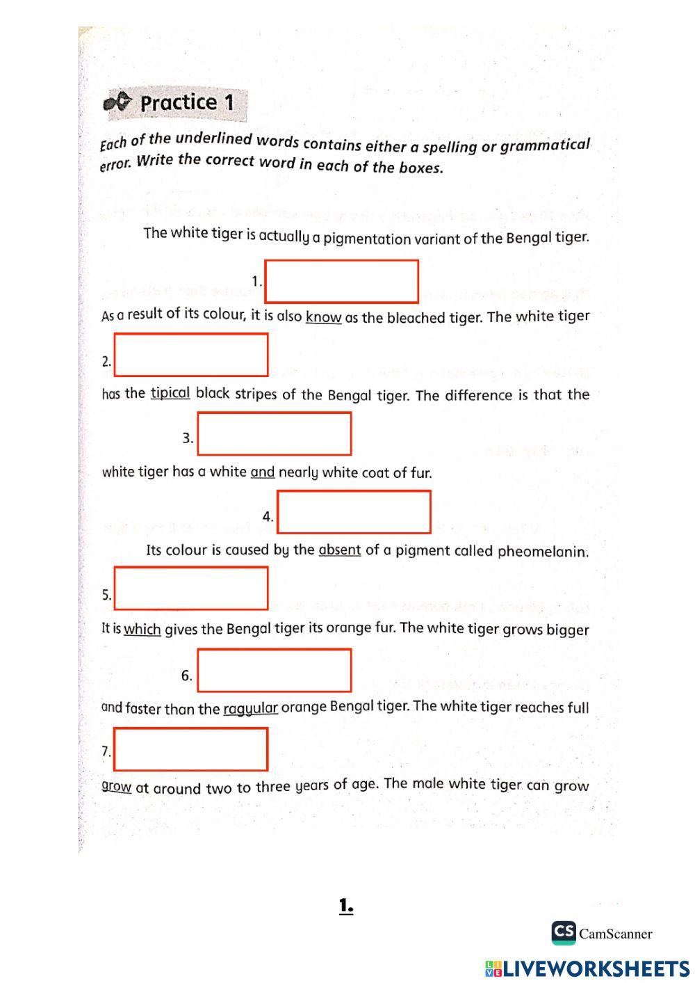 2021 Week 15 PAPER 2 EDITING p5-6 part 1