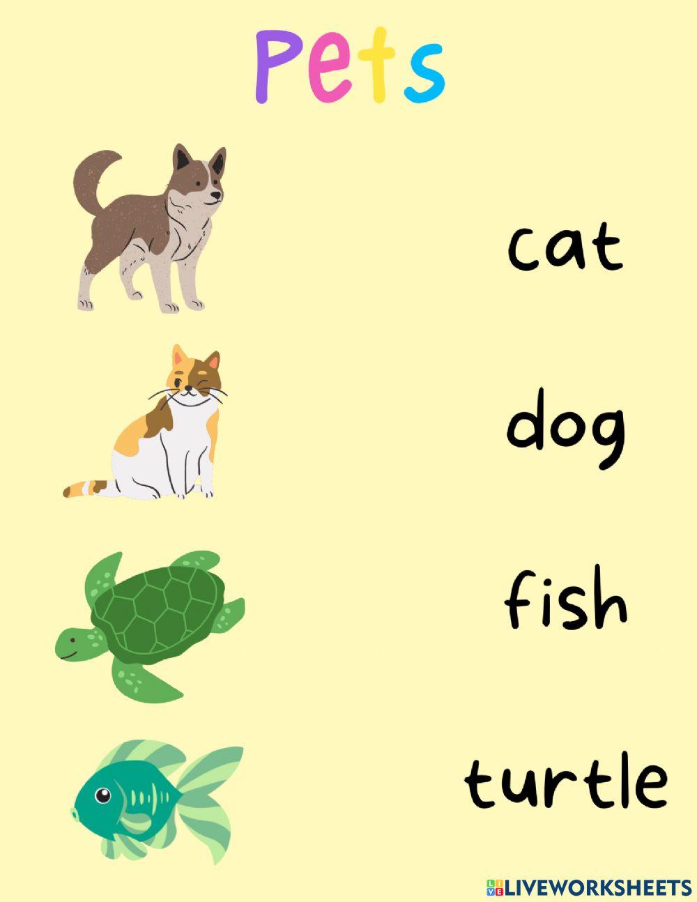 Pets - Nursery Vocab