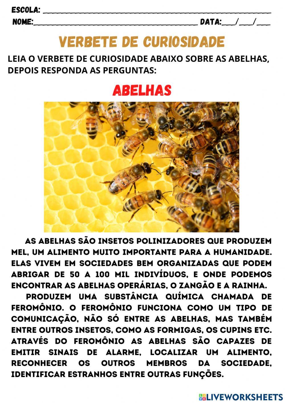 As abelhas