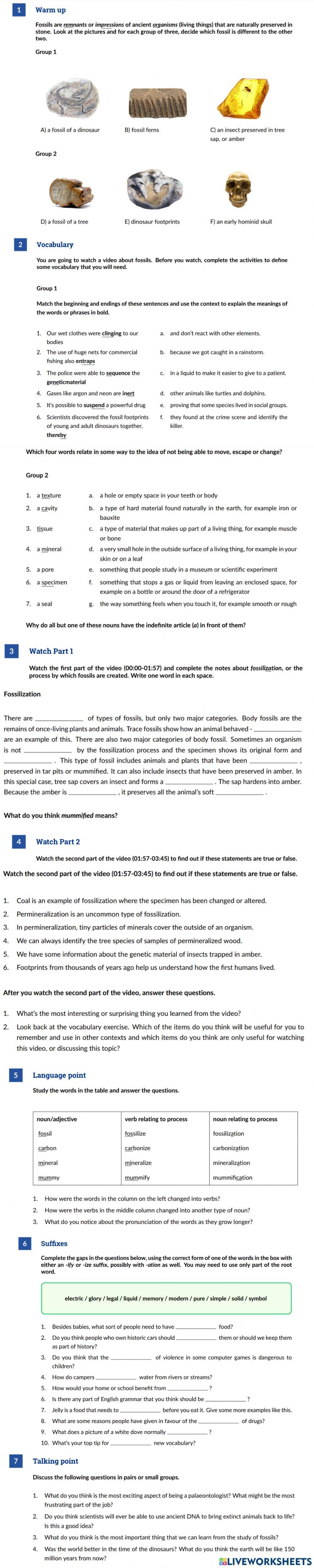 Fossils - listening C1