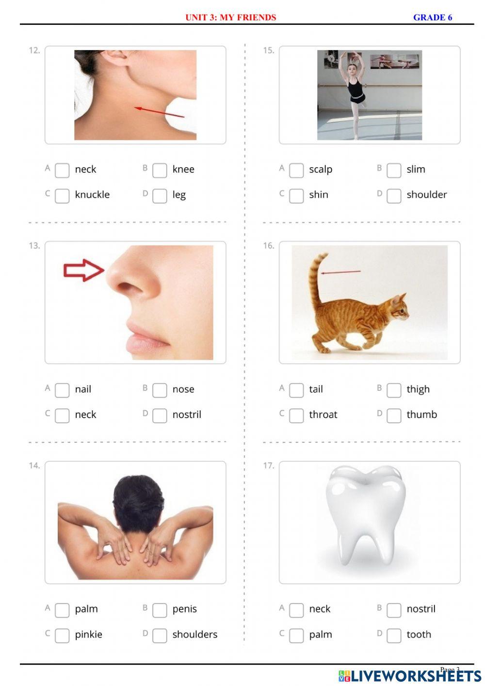 English 6 - Unit 3 - Vocabulary 1 - Quiz