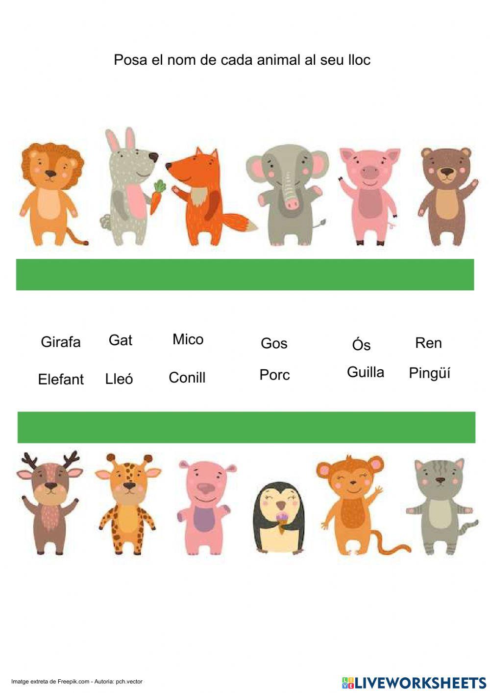 Escriu el nom dels animals