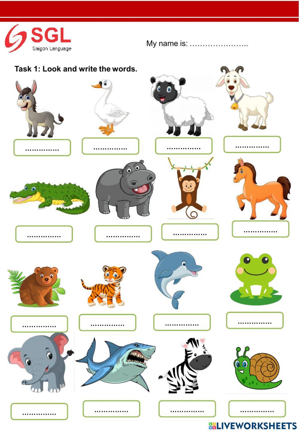 FF2 - Unit 13 - Grapes (8-7-2022)