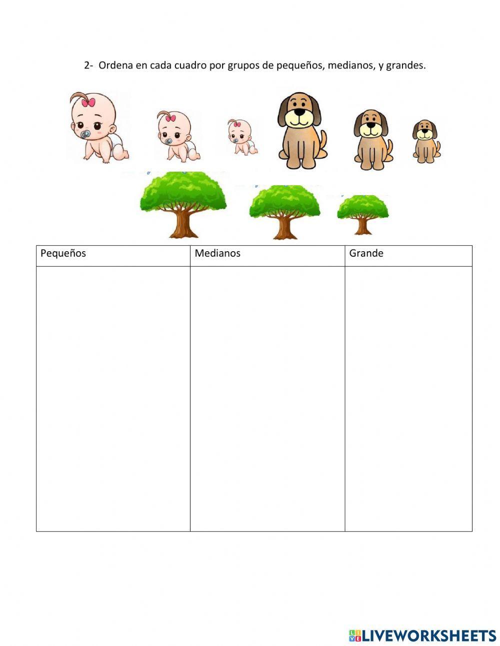 Tamaño y semejanzas