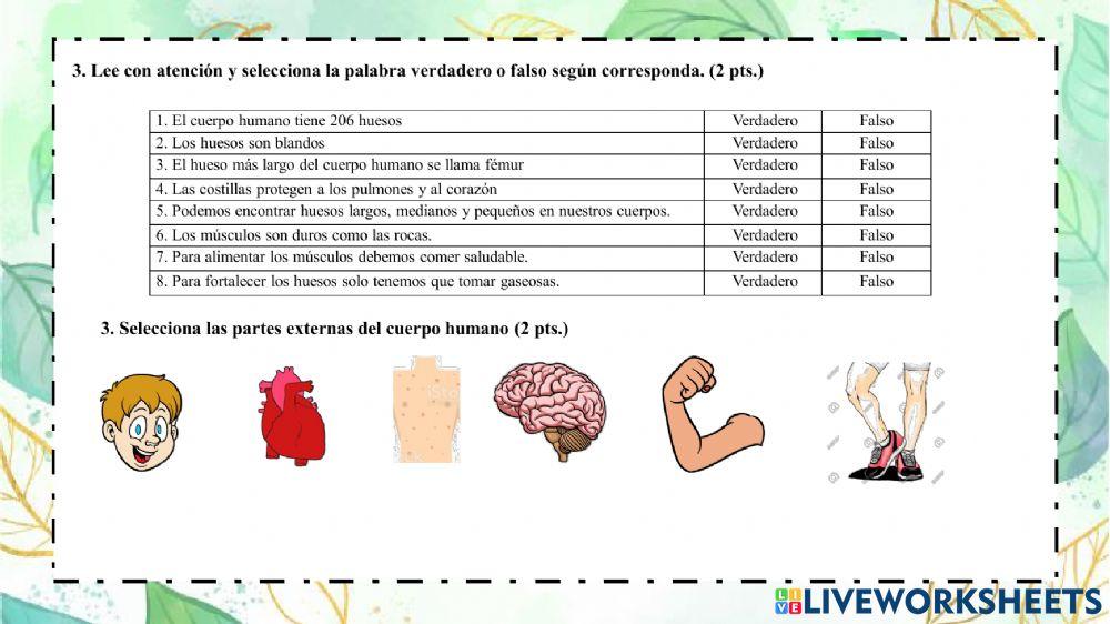 Aporte de ciencias naturales