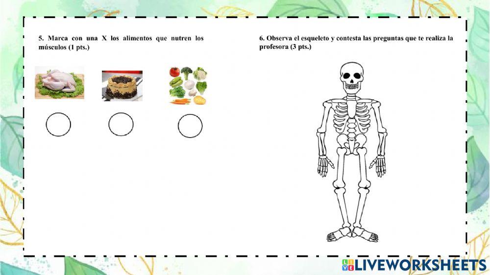 Aporte de ciencias naturales