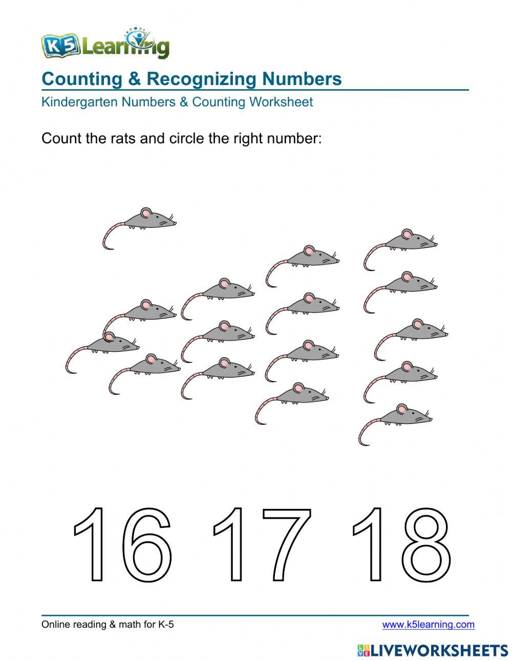 Counting & Recognizing Numbers