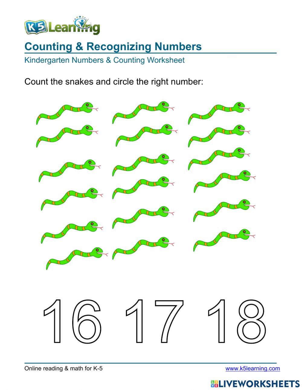 Counting & Recognizing Numbers