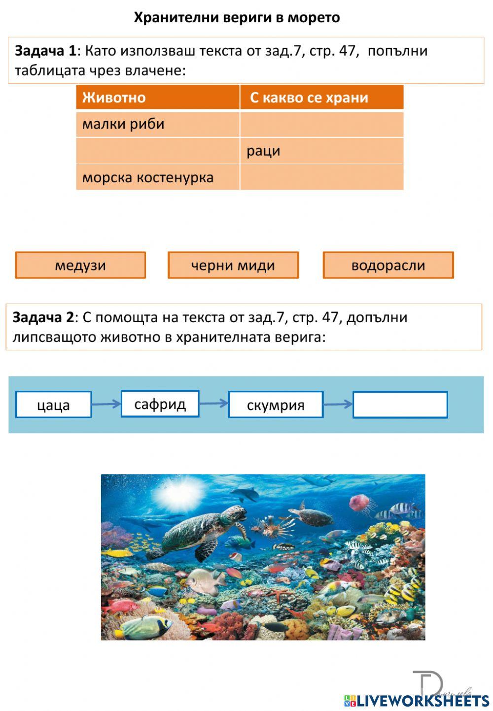 Хранителни вериги в морето Хранителни вериги в морето