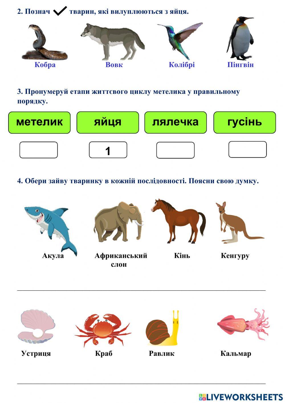 Тема 13 Класифікація тварин