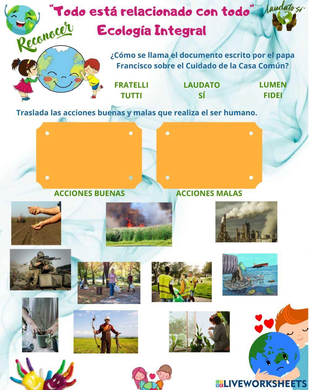 Ecología integral estudiantes - ambito educomunicación fma