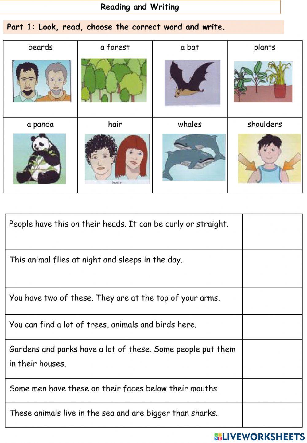 Practice test for mover -No.8
