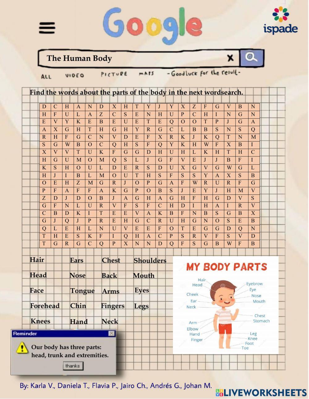 Parts of the Human Body