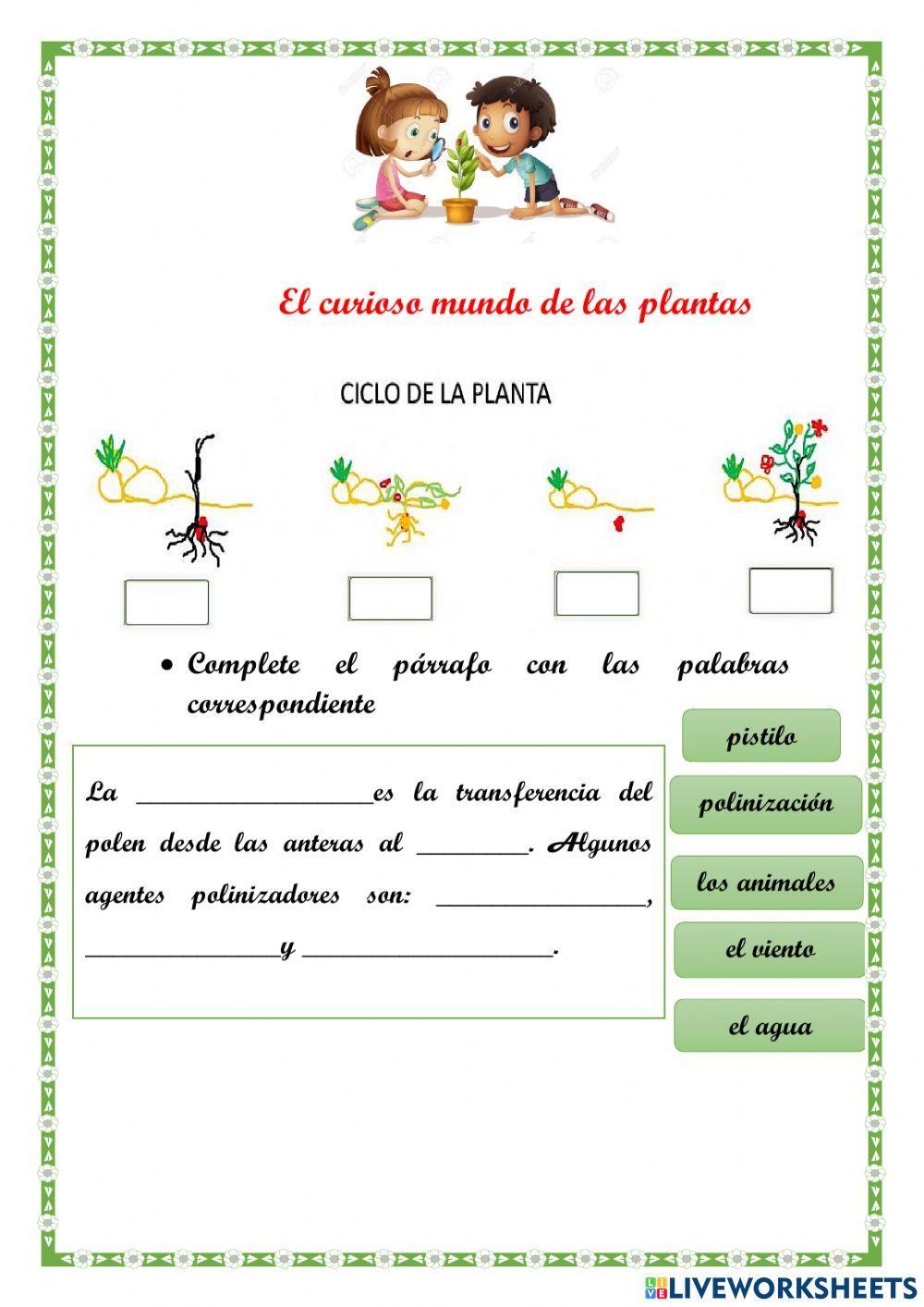 Las plantas - Ciclo de vida y polinización