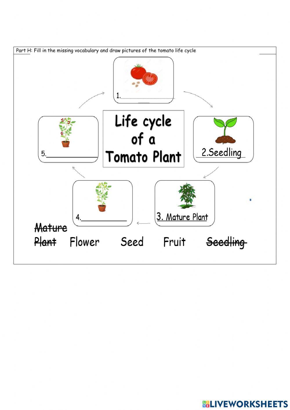 P.2 English for Science Pre-Midterm Review Worksheet